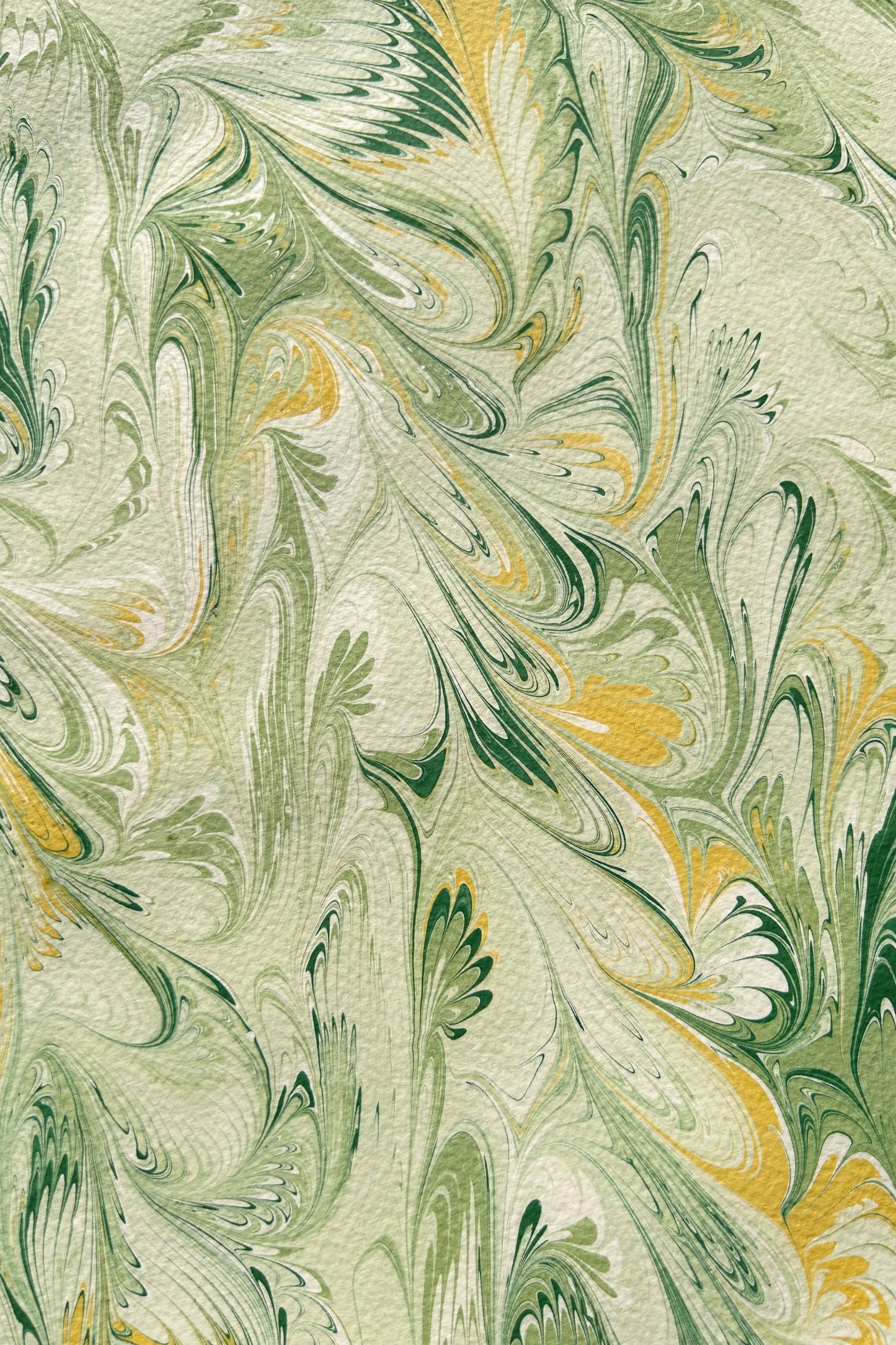 5 Folded Cards - Green