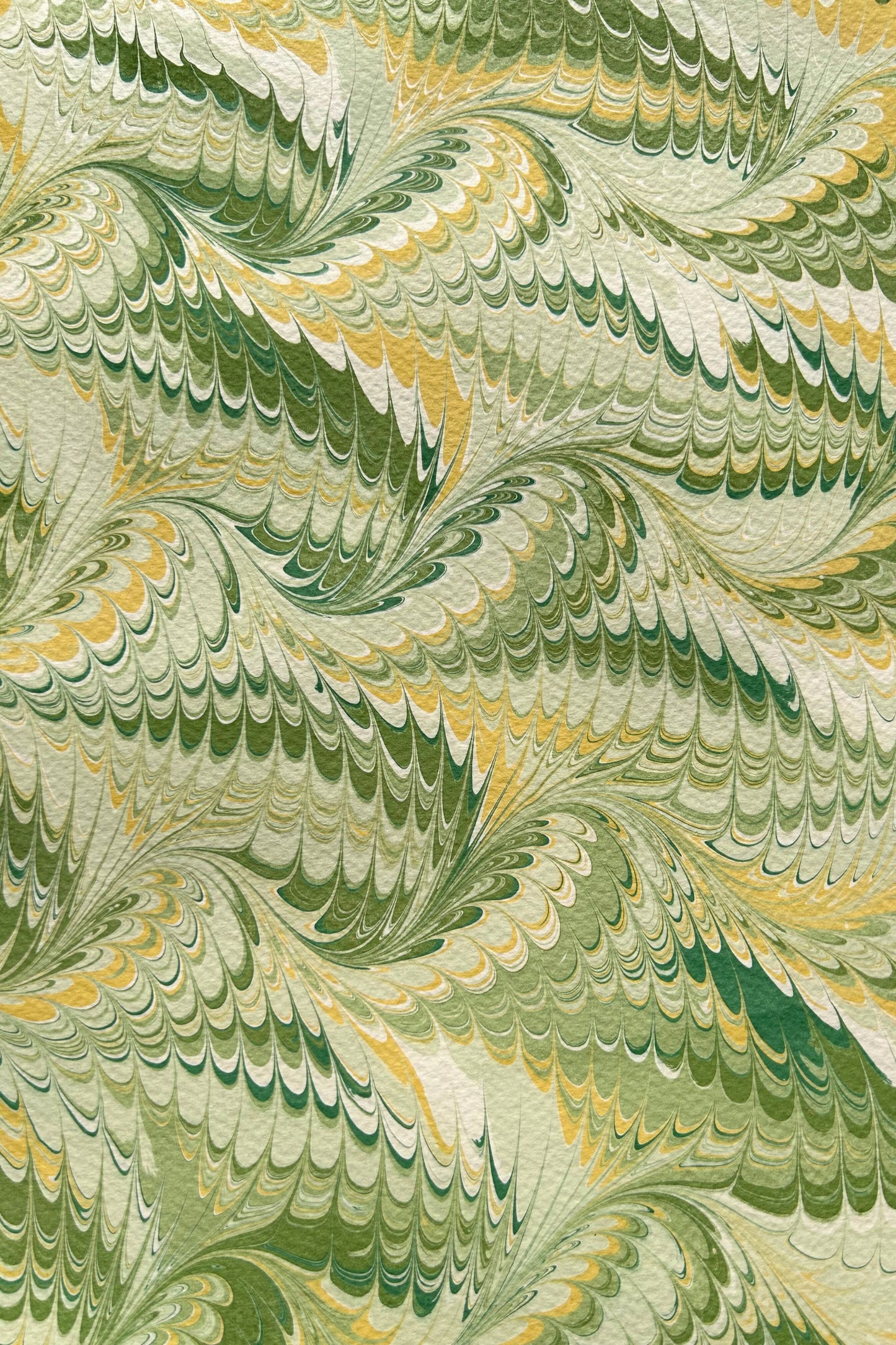 5 Folded Cards - Green