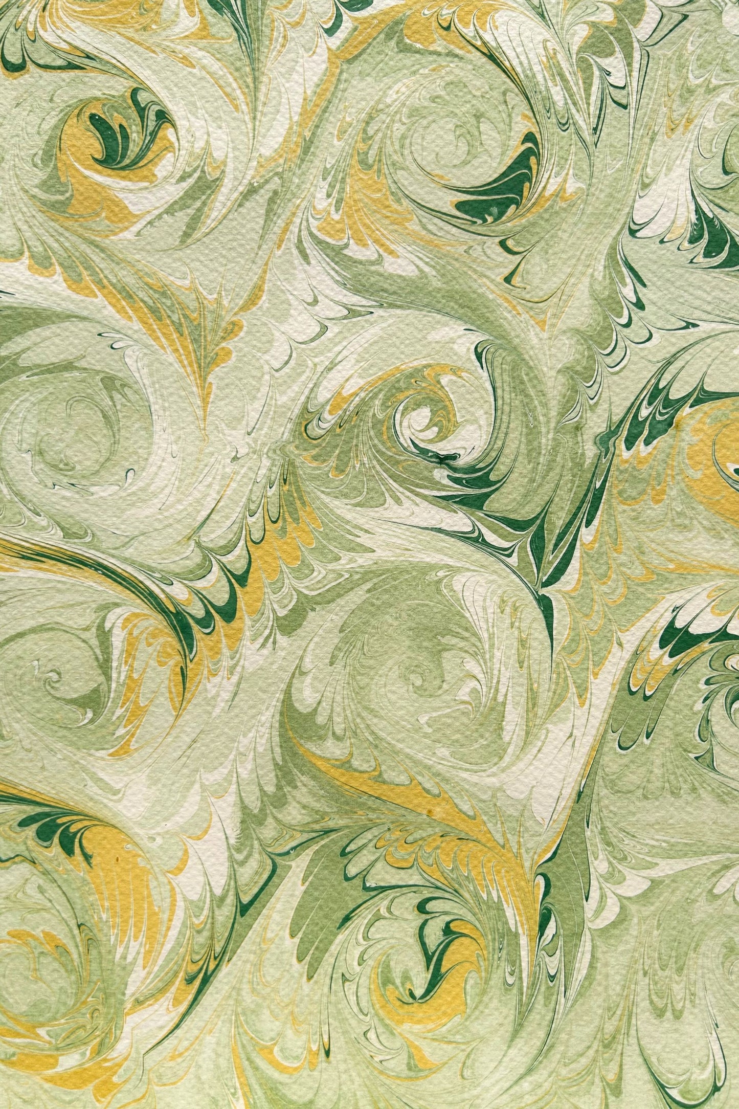 5 Folded Cards - Green