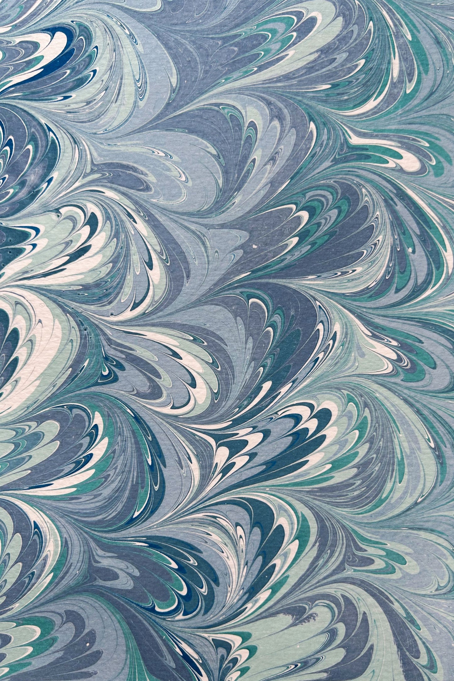 5 Folded Cards - Blue