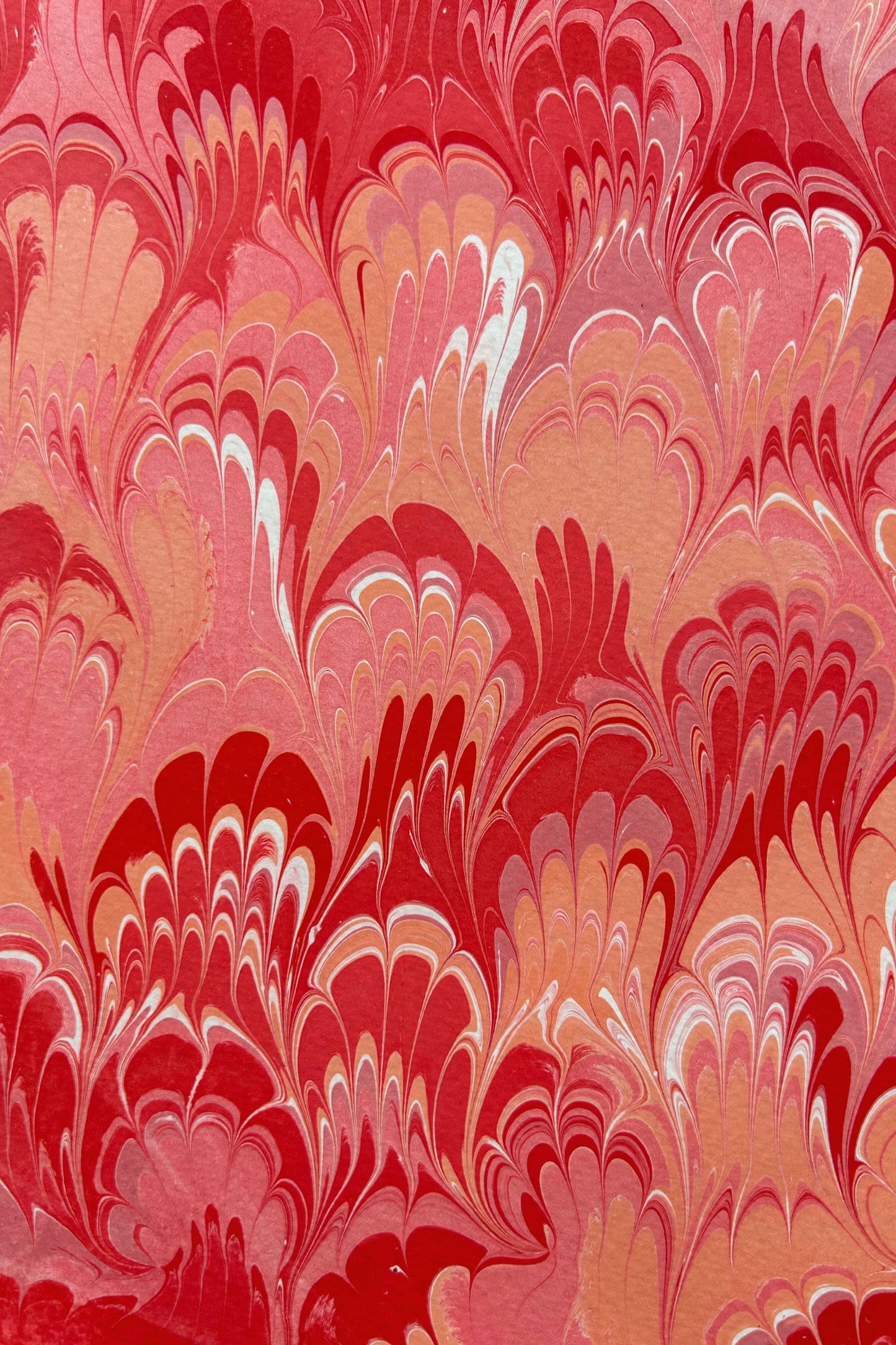 5 Folded Cards - Roussillon