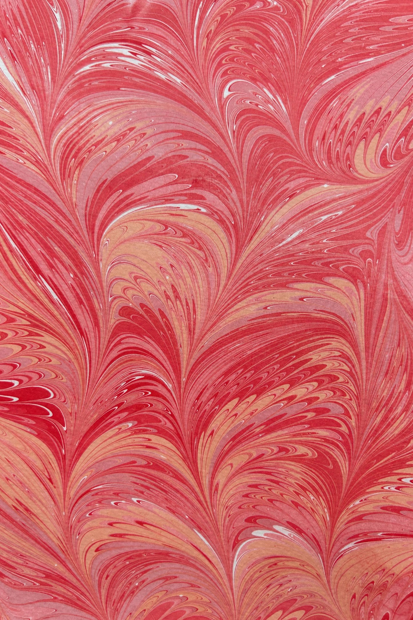 5 Folded Cards - Roussillon