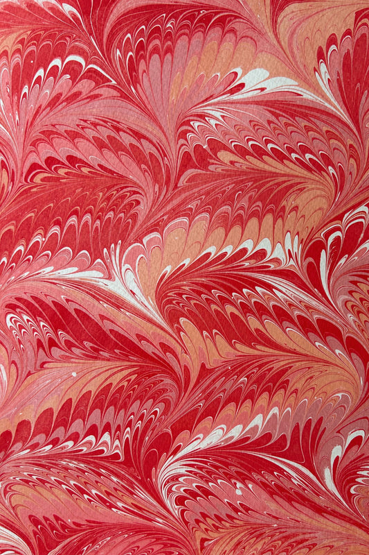 5 Folded Cards - Roussillon