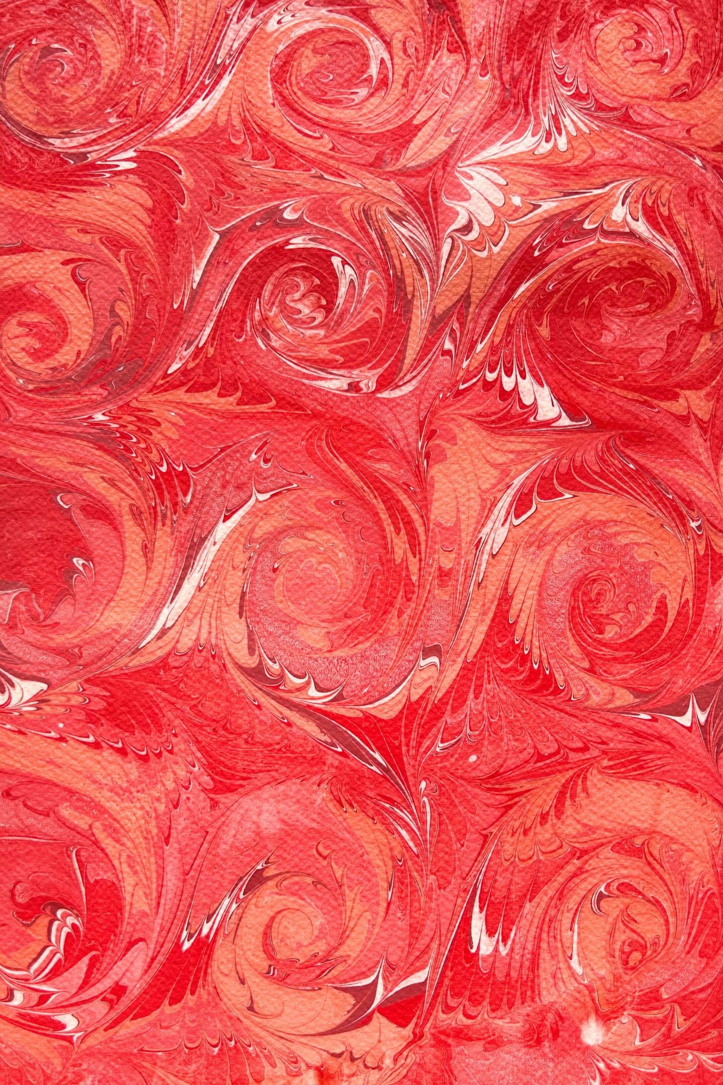 5 Folded Cards - Roussillon