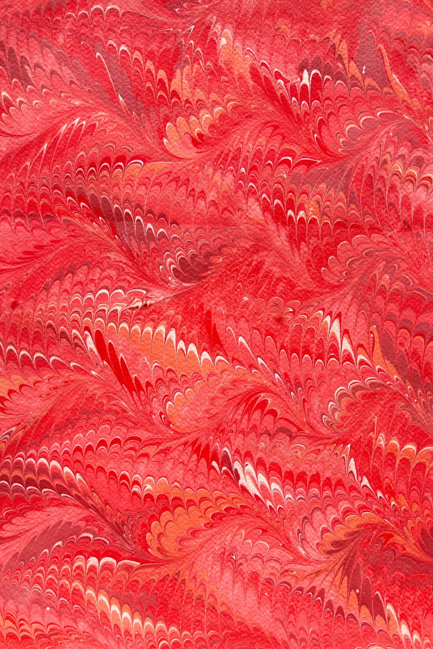 5 Folded Cards - Roussillon